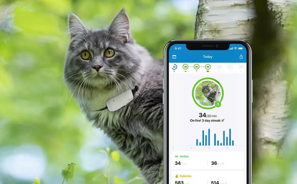 Collares GPS para gatos Tractive GPS Cat Tracker