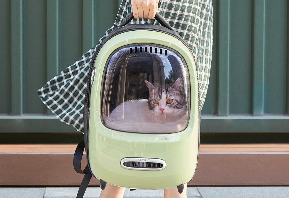 innovadora mochila con forma de gato